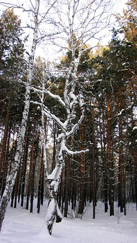 Не такая как все.... - Татьяна ...я только учусь....