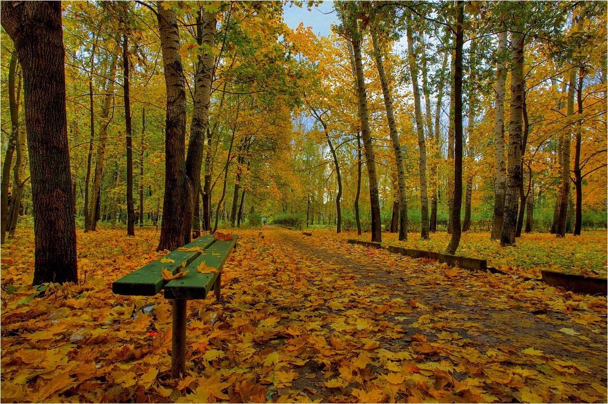 Осень в городском парке - Nikita Volkov
