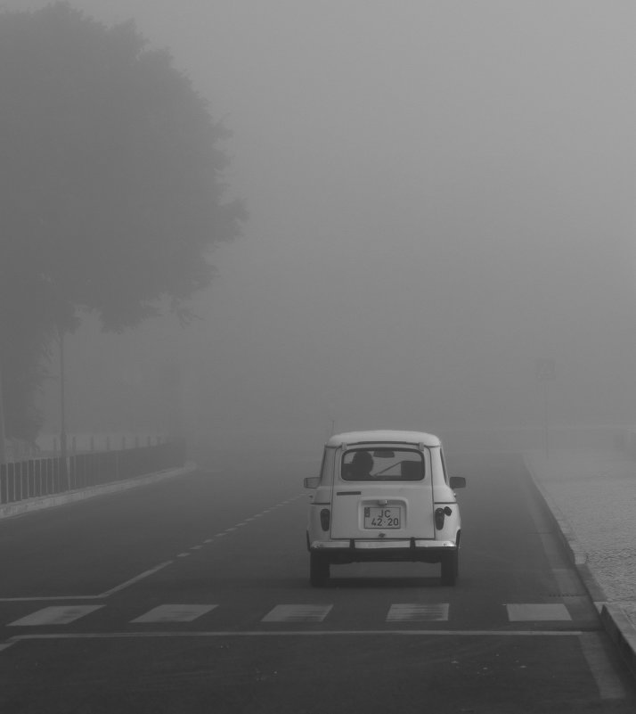 Утренний путь в тумане - Alexander Freydin