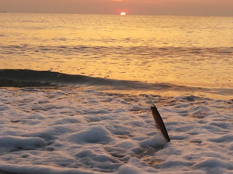 Черное море - Светлана Германова