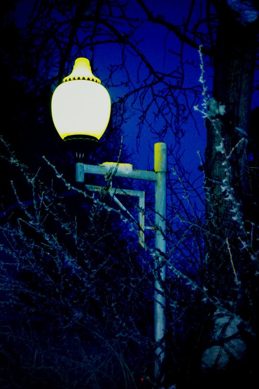 ночной фонарь из парка - Марья Че 
