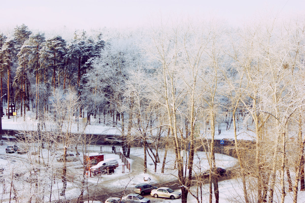 Болатовский Лес - Мария 