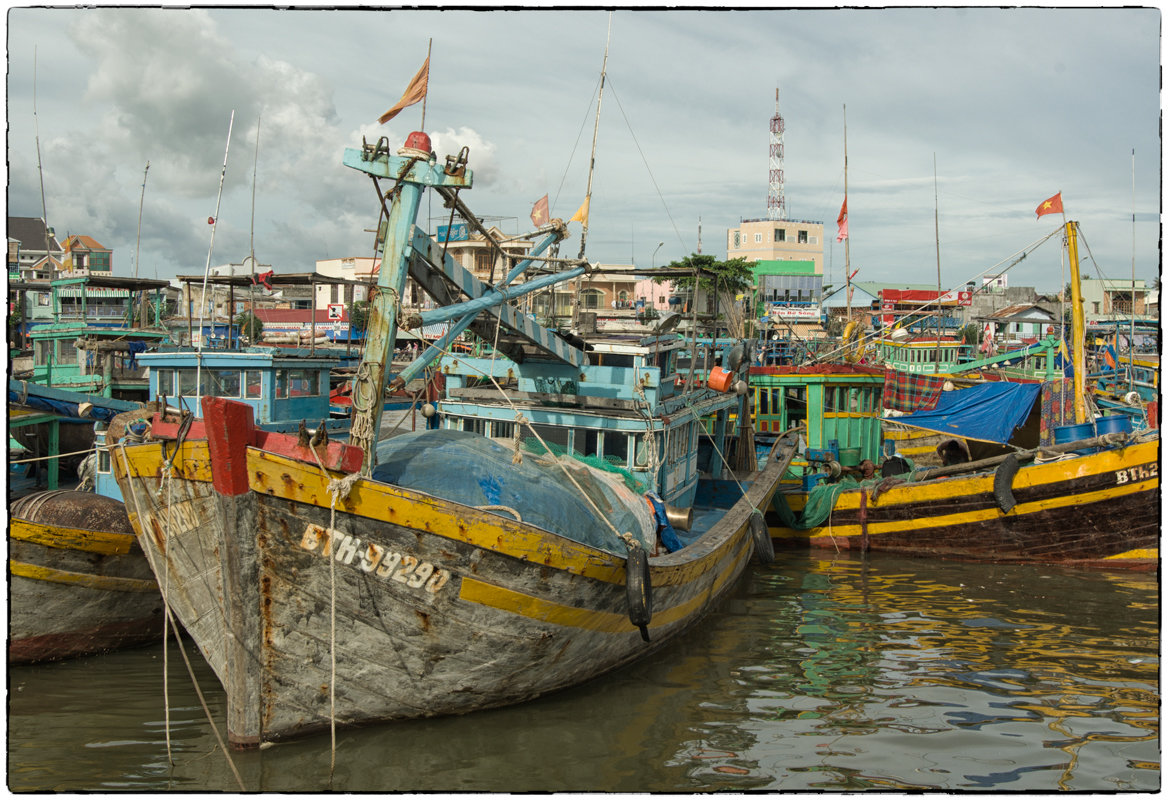 В текущем году рыболовецкий флот Вьетнама добился больших успехов.. - Александр Беляев