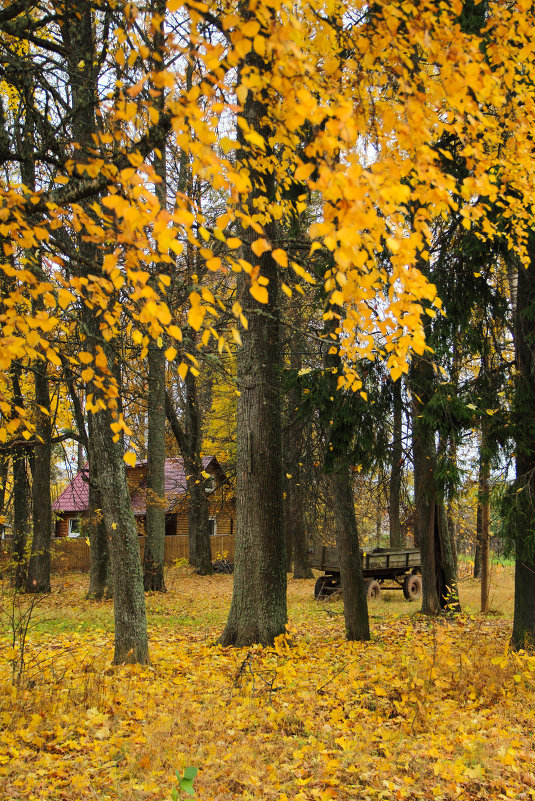 осень в деревне - Наталья Ерёменко