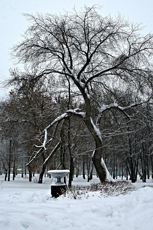 В парке - Евгений Юрков