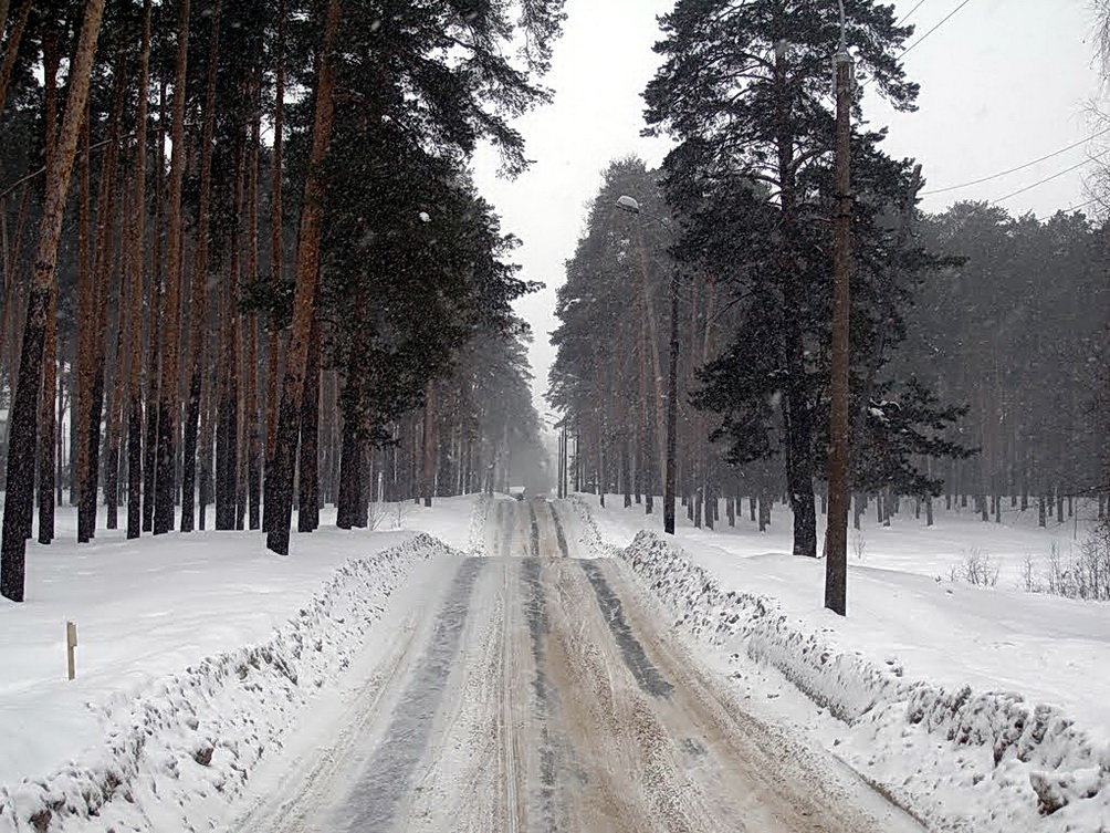 Зимняя дорога в лес - Nick Nichols