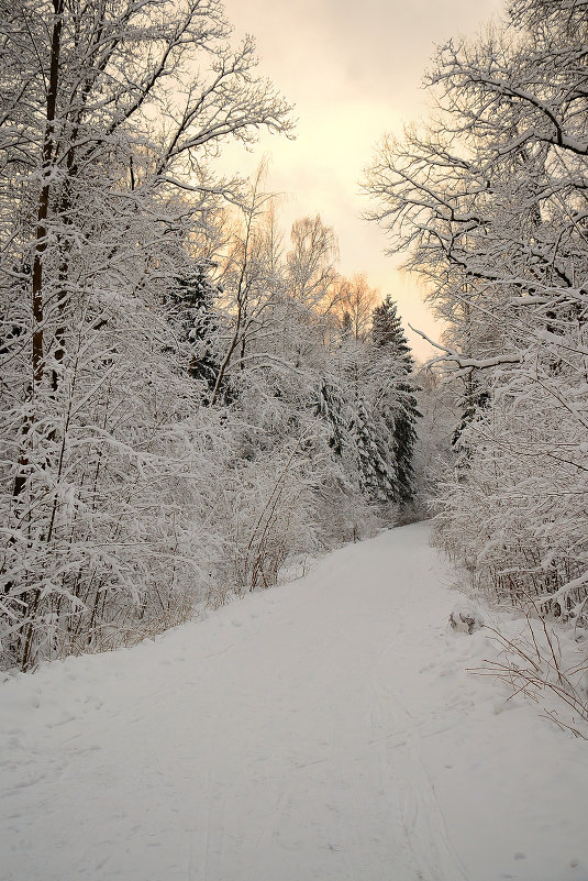 Зимний пейзаж - Павел Чекалов