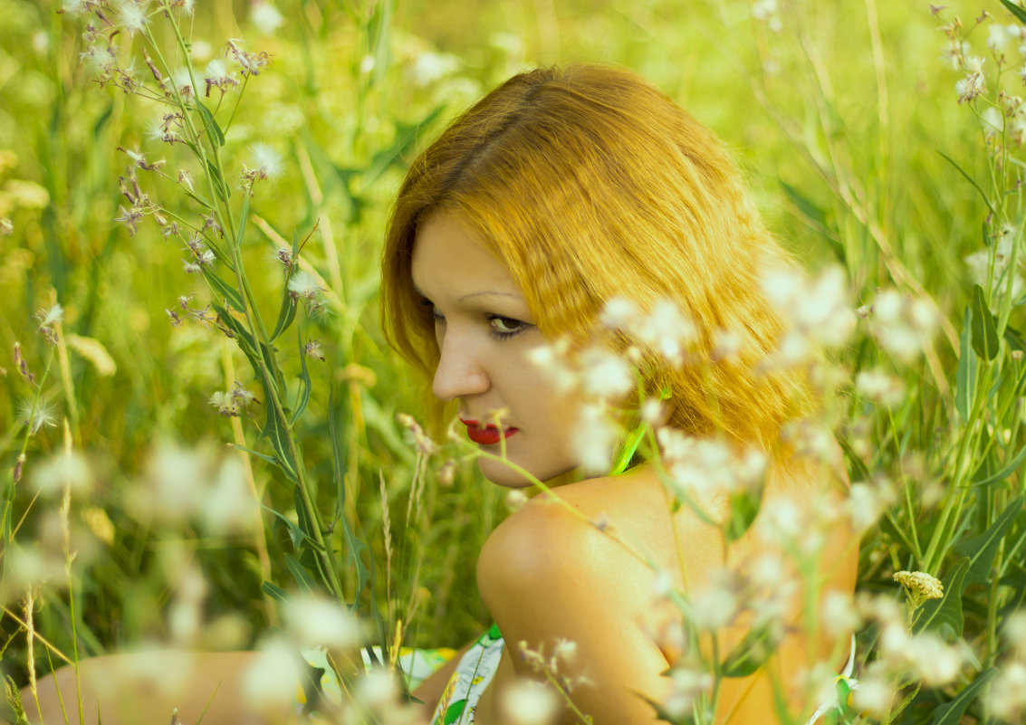 девушка в полевых цветах - Света Сальник