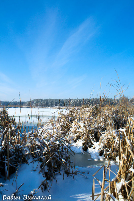 Замёрзшее озеро - Vitalik Babich