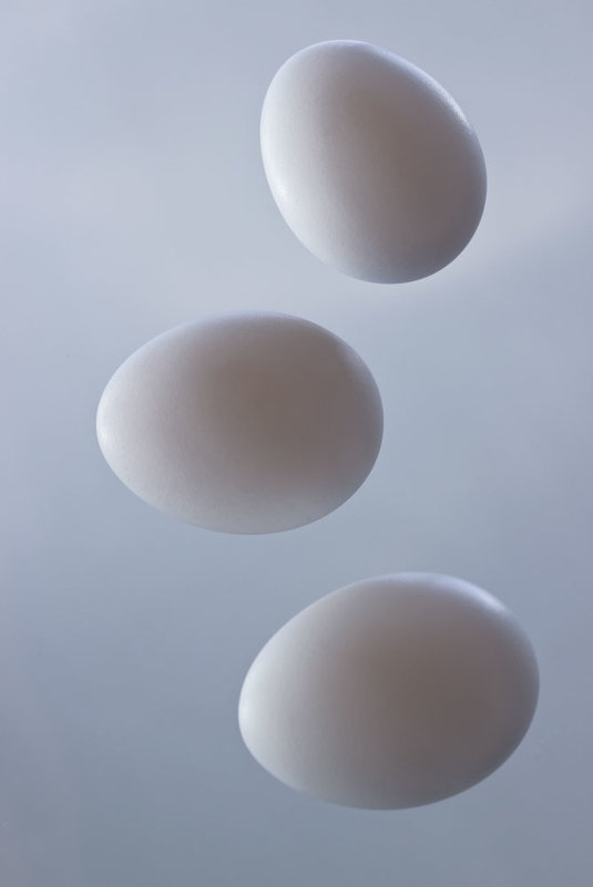 Фотосессия для яиц - Вера Лазарева