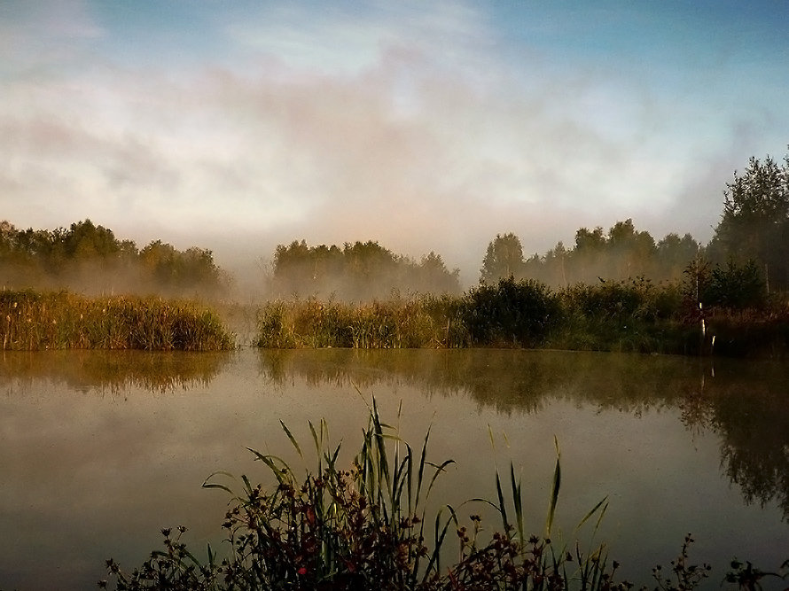 Туман на озере - Татьяна 