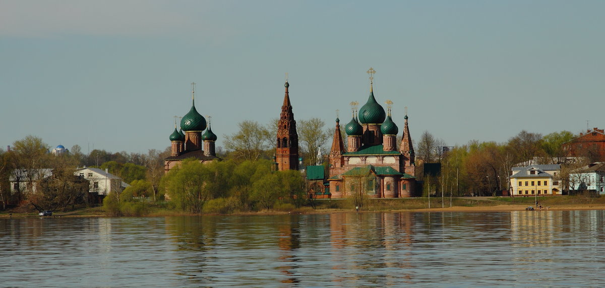 Коровники Ярославль Фото