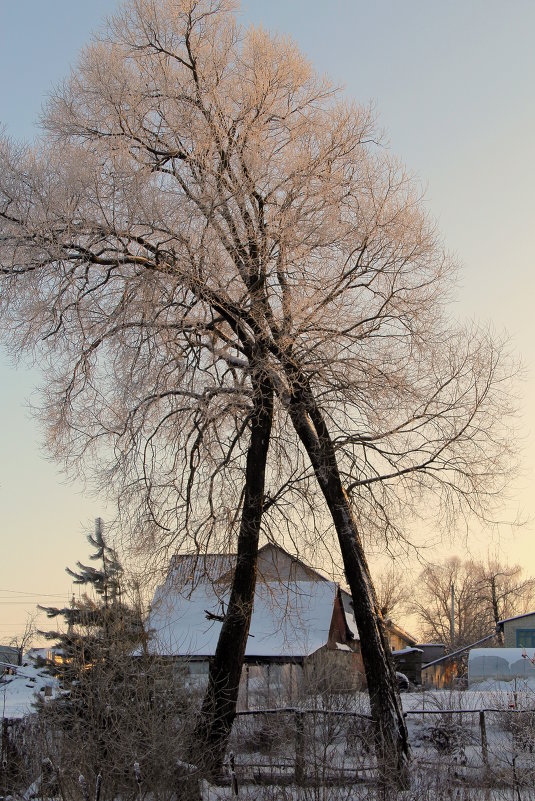 *** - marina-rosinka2 