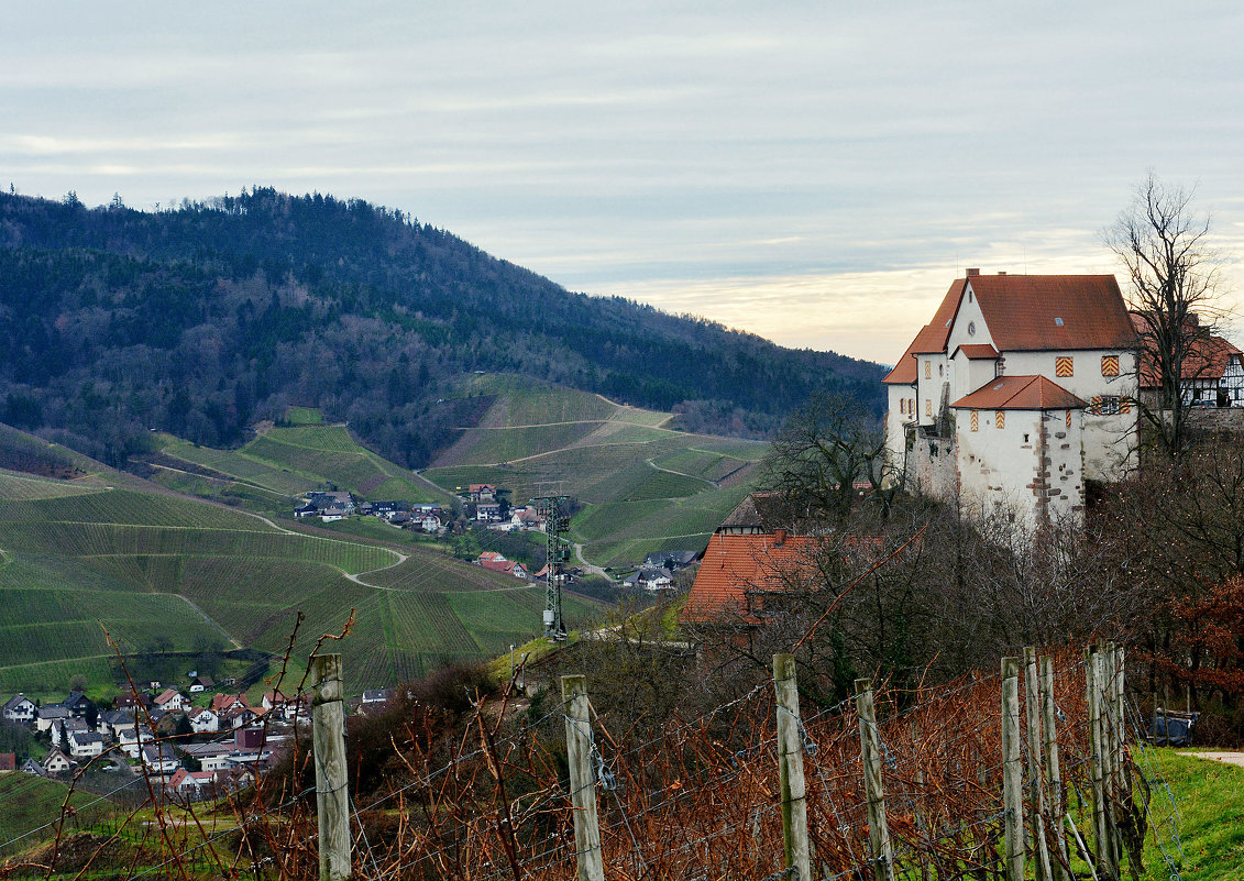 замок Schloss Staufenberg - Мария Воронина (Турик)