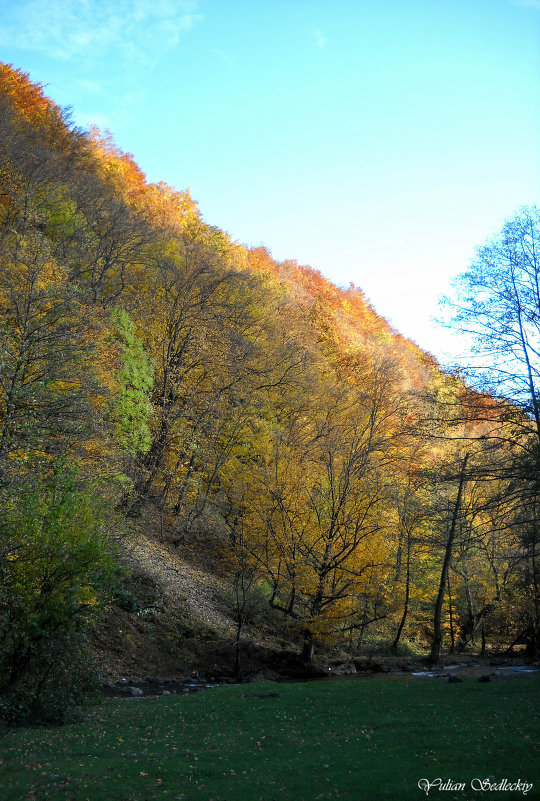 Осень в Карпатах - Юлиан 