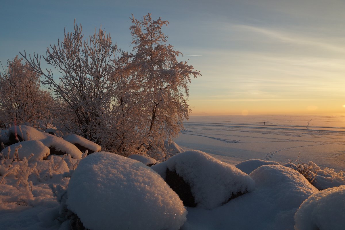 Зима на Финском заливе - Lisa 