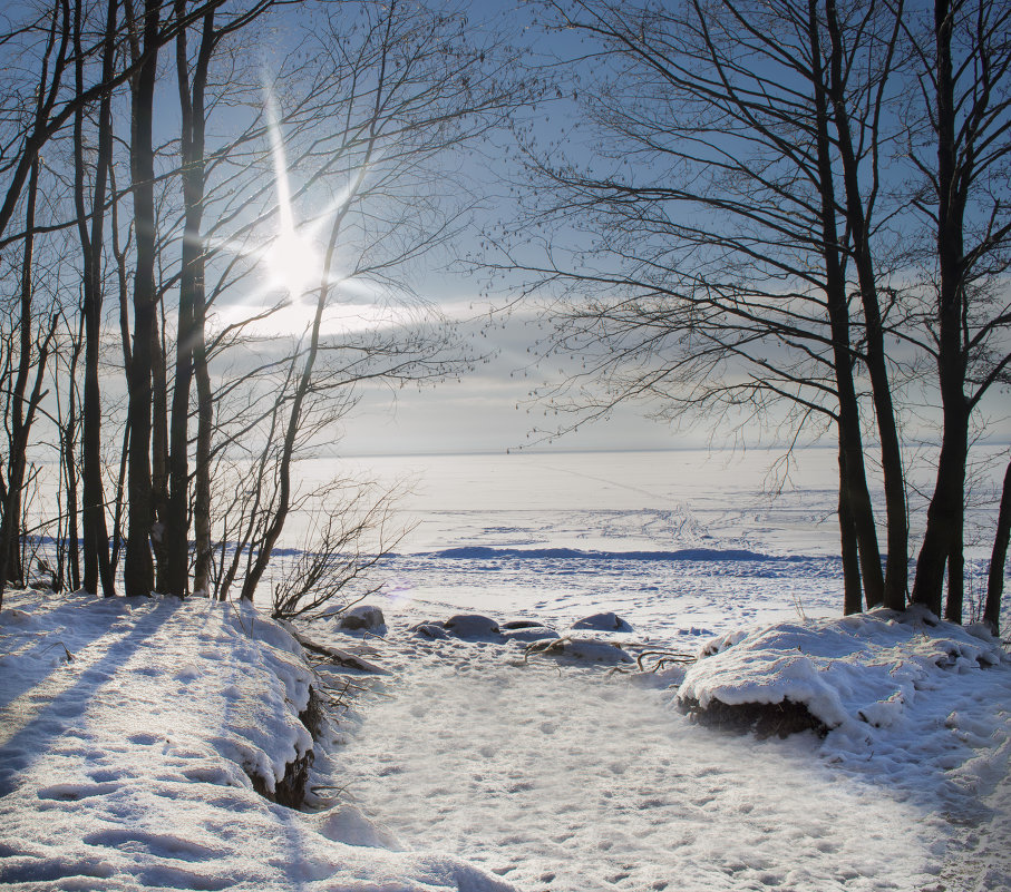 Солнечный зимний день на финском заливе. - Irina Sergeeva