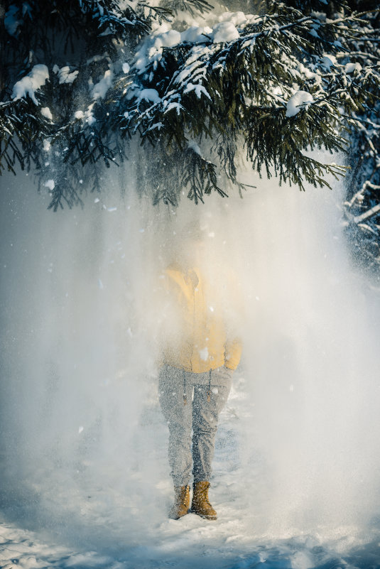 Снежный туман - Григорий Никитин