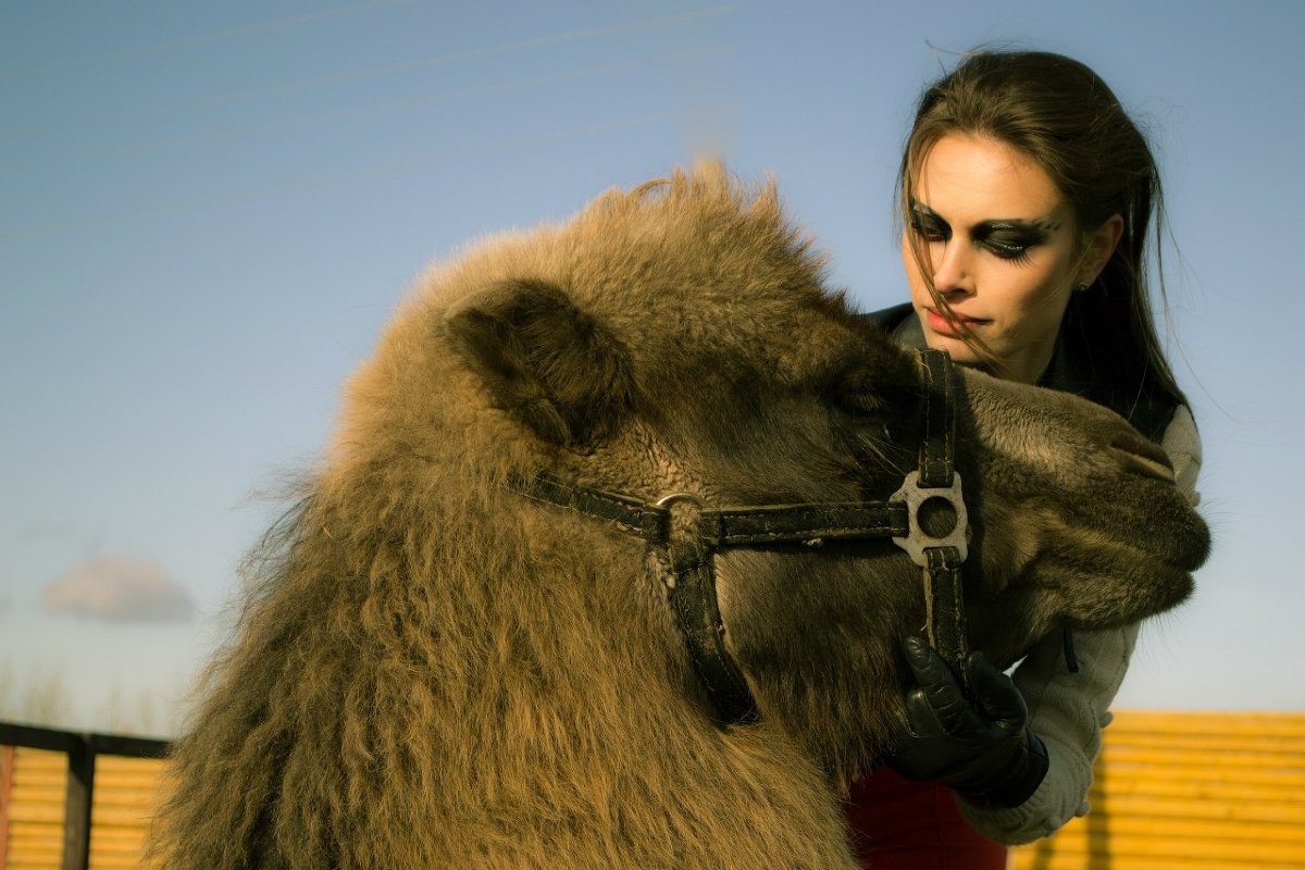 Фэшн с верблюдами - Alsu Salachova