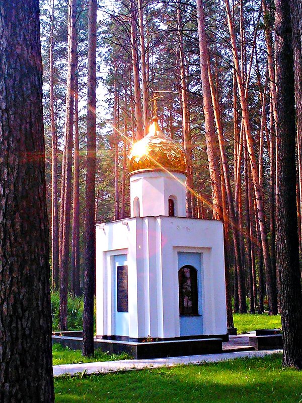 Часовня архиепископа Луки, г. Новосибирск - Инна Ивановна Нарута