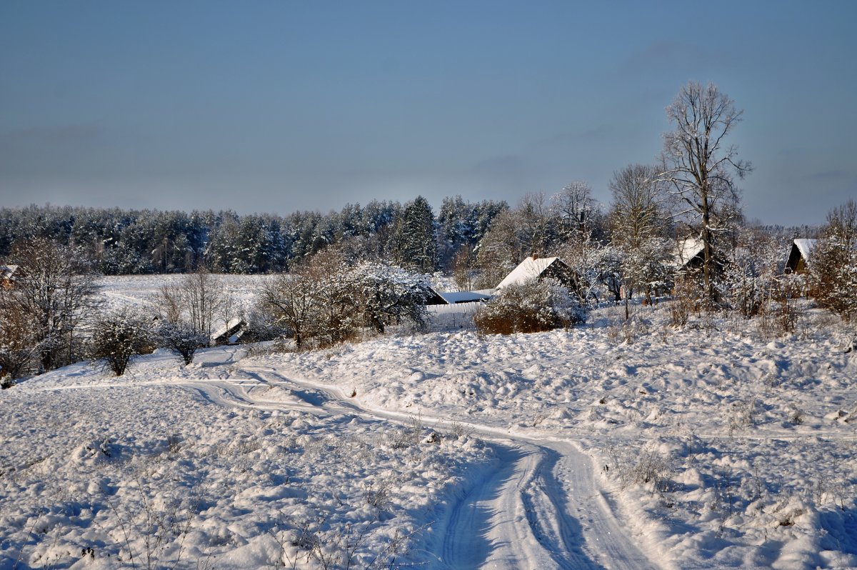 Зимой в деревне - Александр Сергеев
