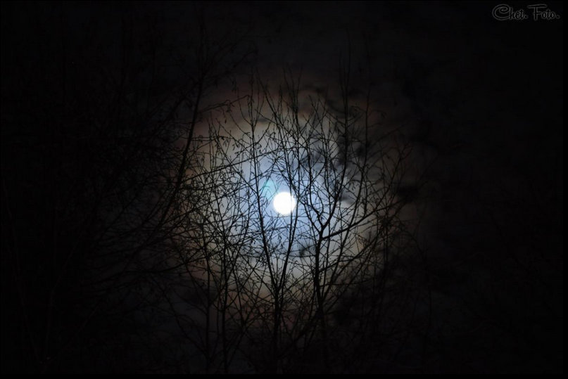 Лунная ночь - Анастасия Сусманова