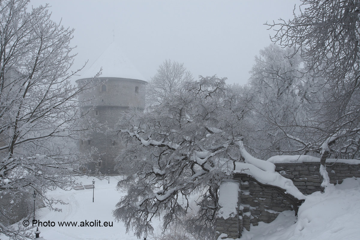 Fotostuudio Akolit, Tallinn - Аркадий  Баранов Arkadi Baranov