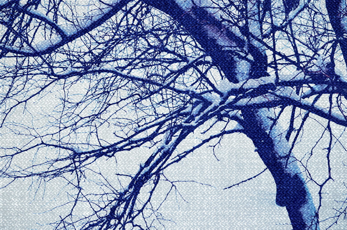 Зима за окном - Юля 