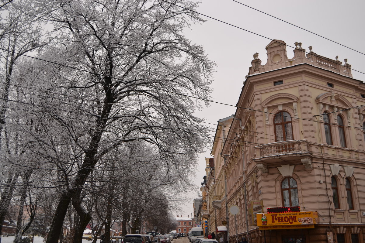 Зимние улицы - Christina Batovskaya
