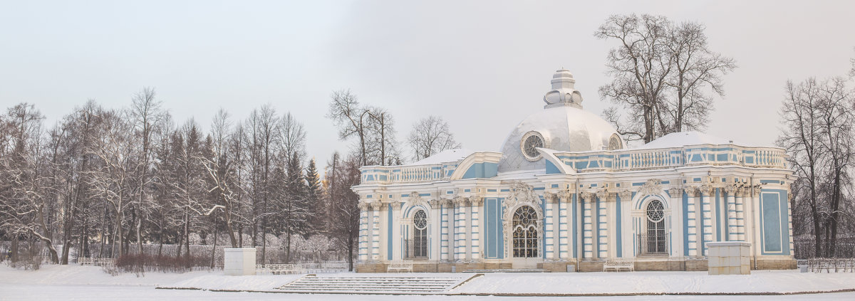 Зимний Пушкин - Татьяна Григорьева-Яковлева