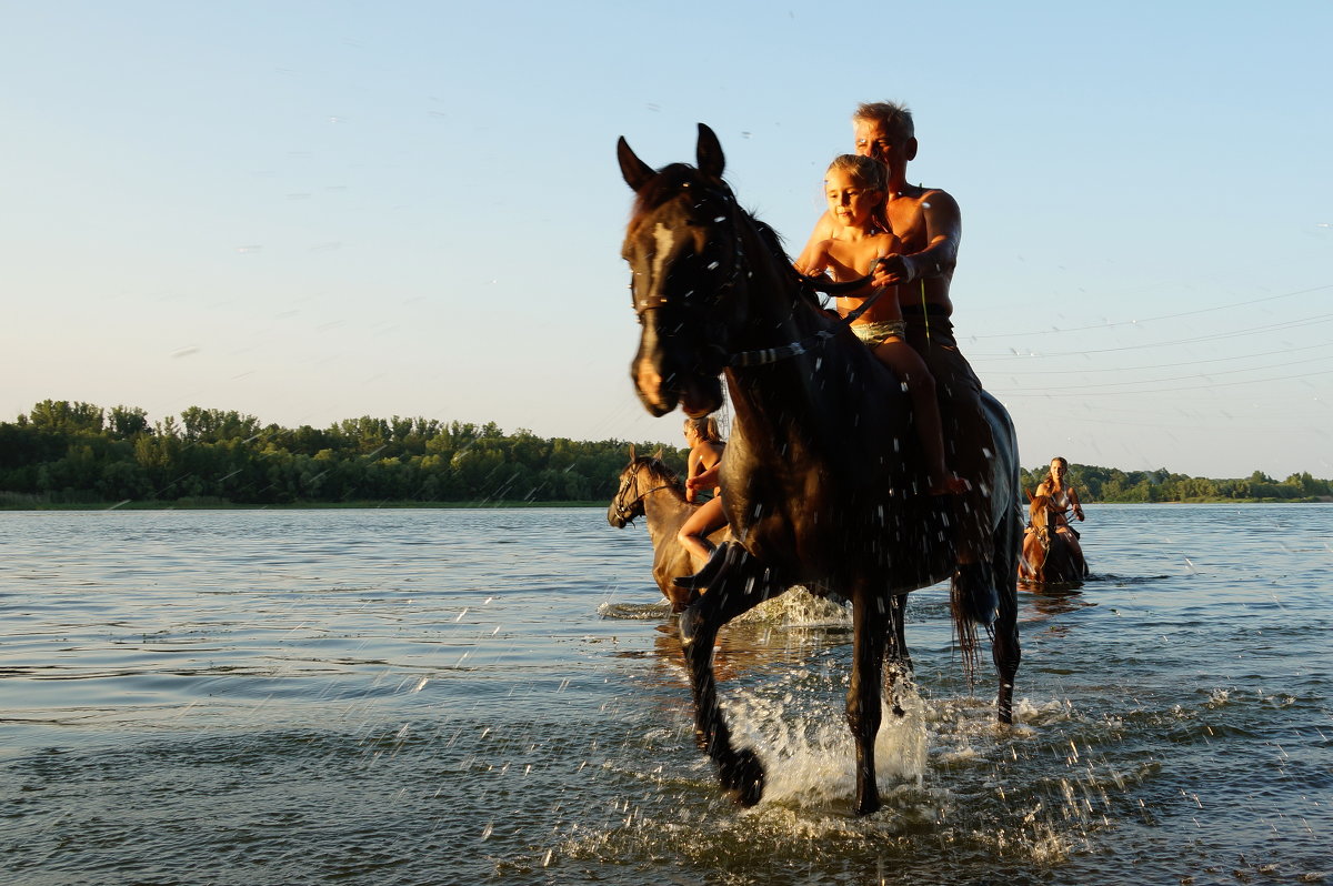 купание лошадей - Анатолий Еванков