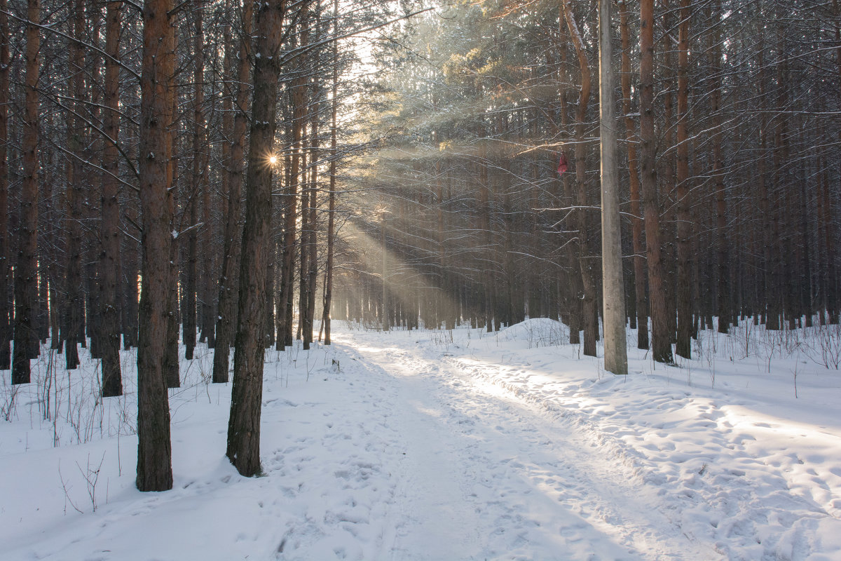 2014-02-04 - Павел Савин