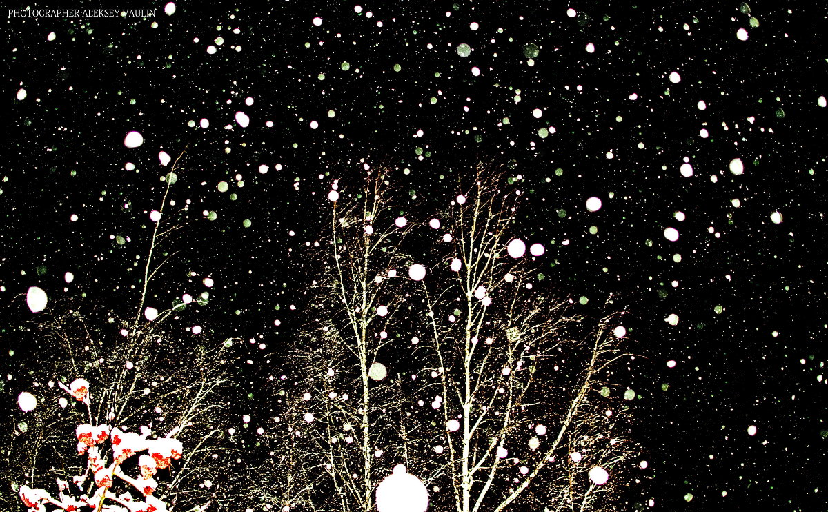 Снегопад - Алексей -