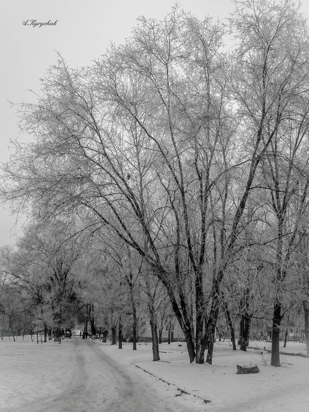 Зима - Andrii Kyrychuk