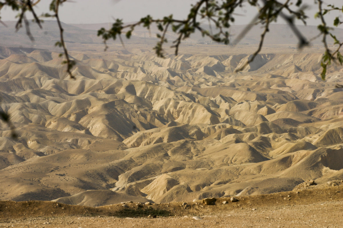В пустыне Негев (Израиль) - Сергей Глотов