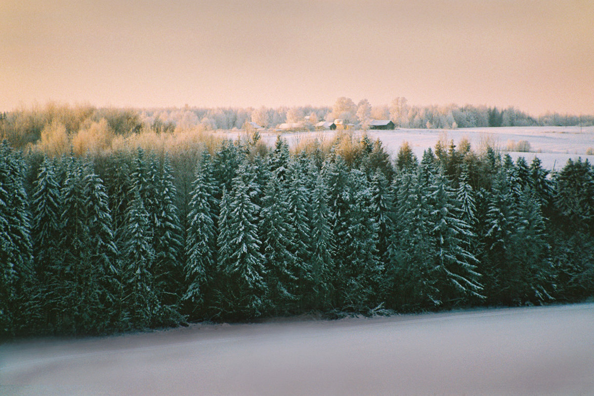 За полями и лесами - Валерий Талашов