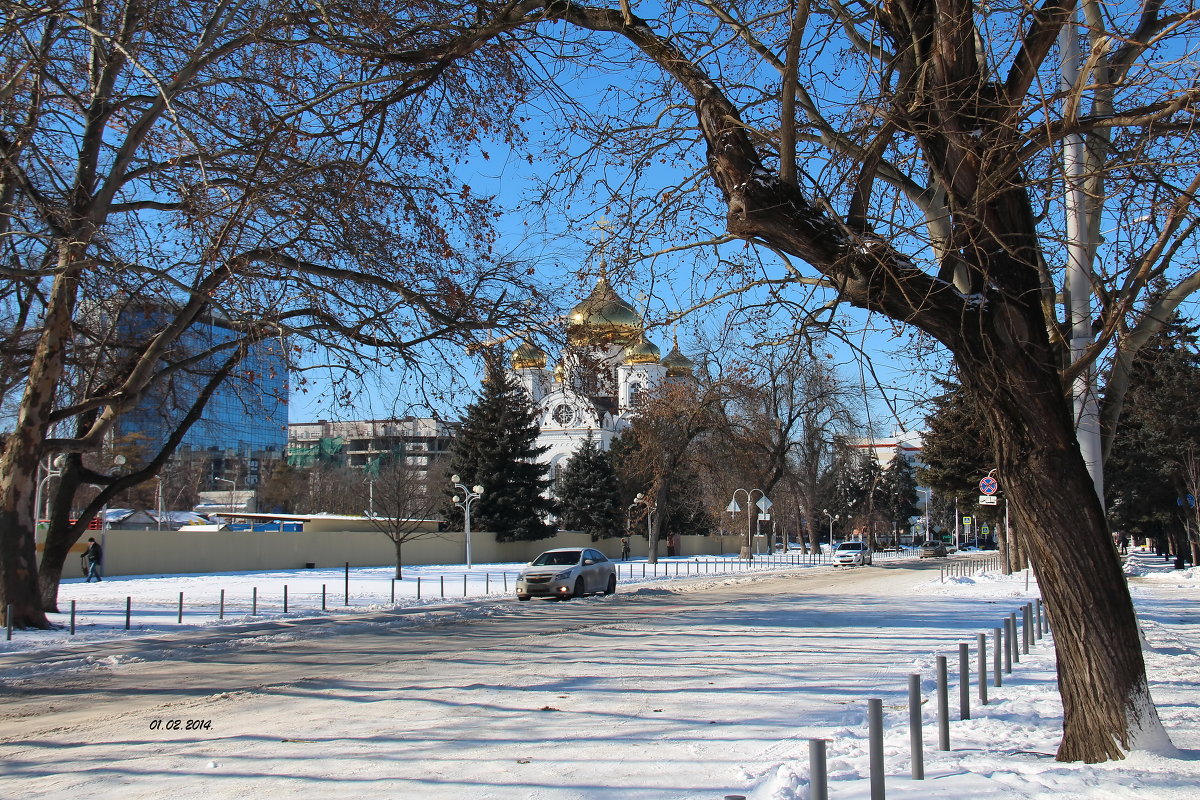 г. Краснодар зимой - Шеляг Юлия 