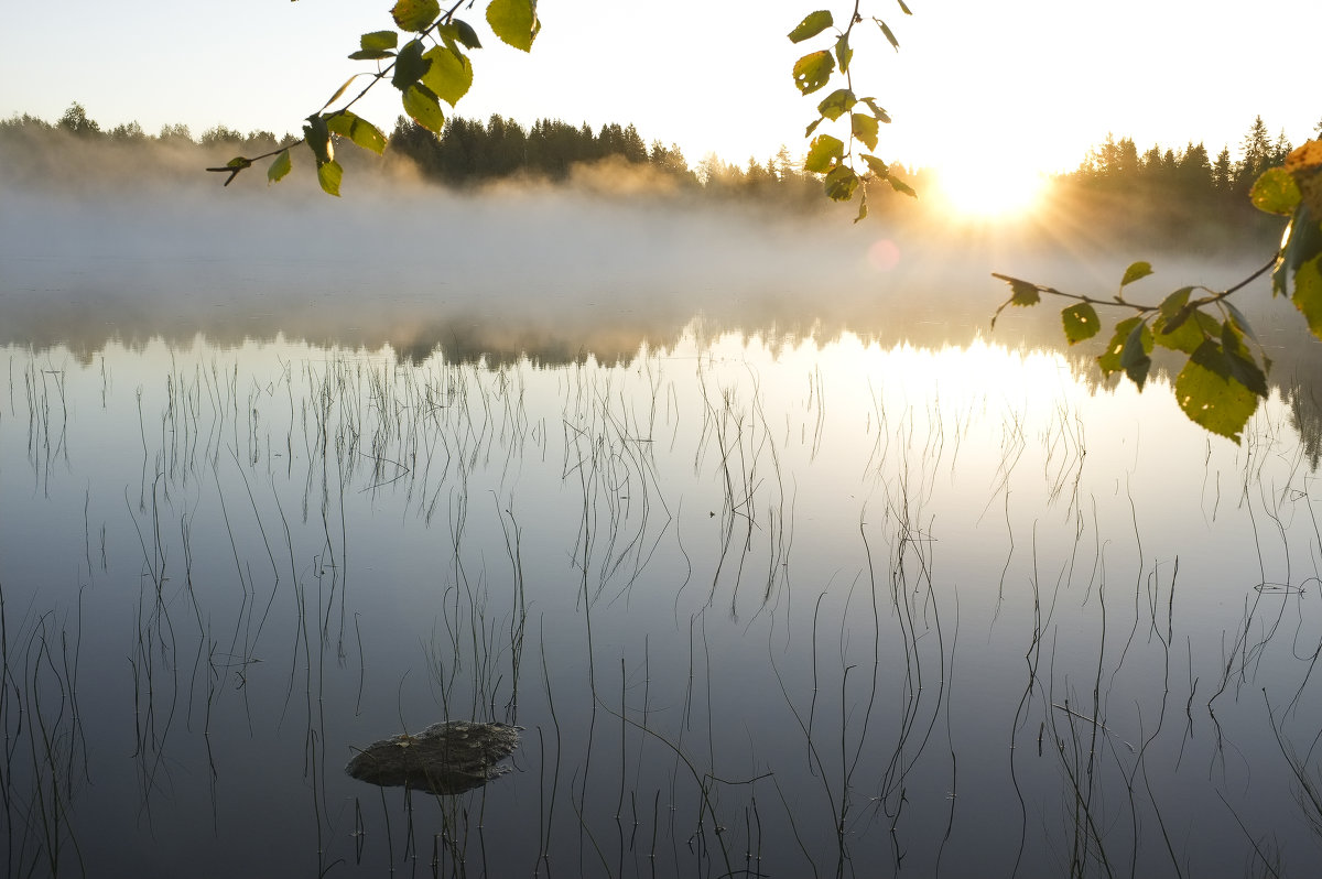 Анна Караулова - Рассвет на озере - Фотоконкурс Epson