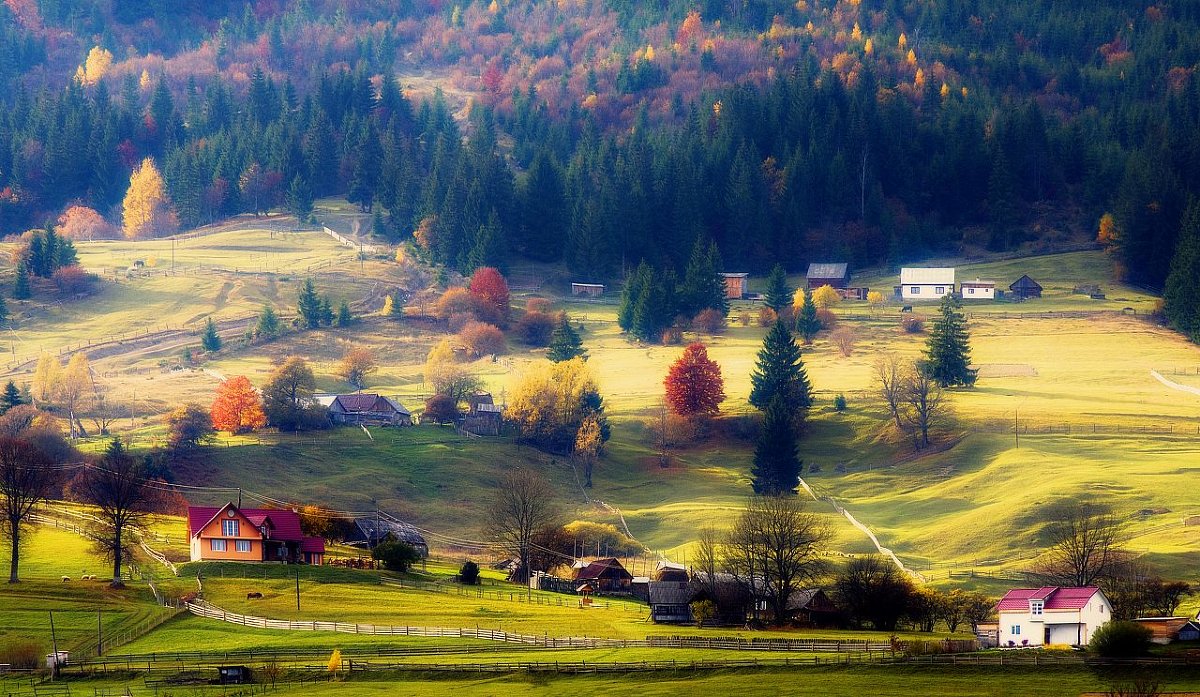 *** - Андрій Кізима