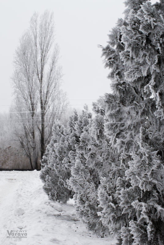 Наконец зима :) - Денис Варава