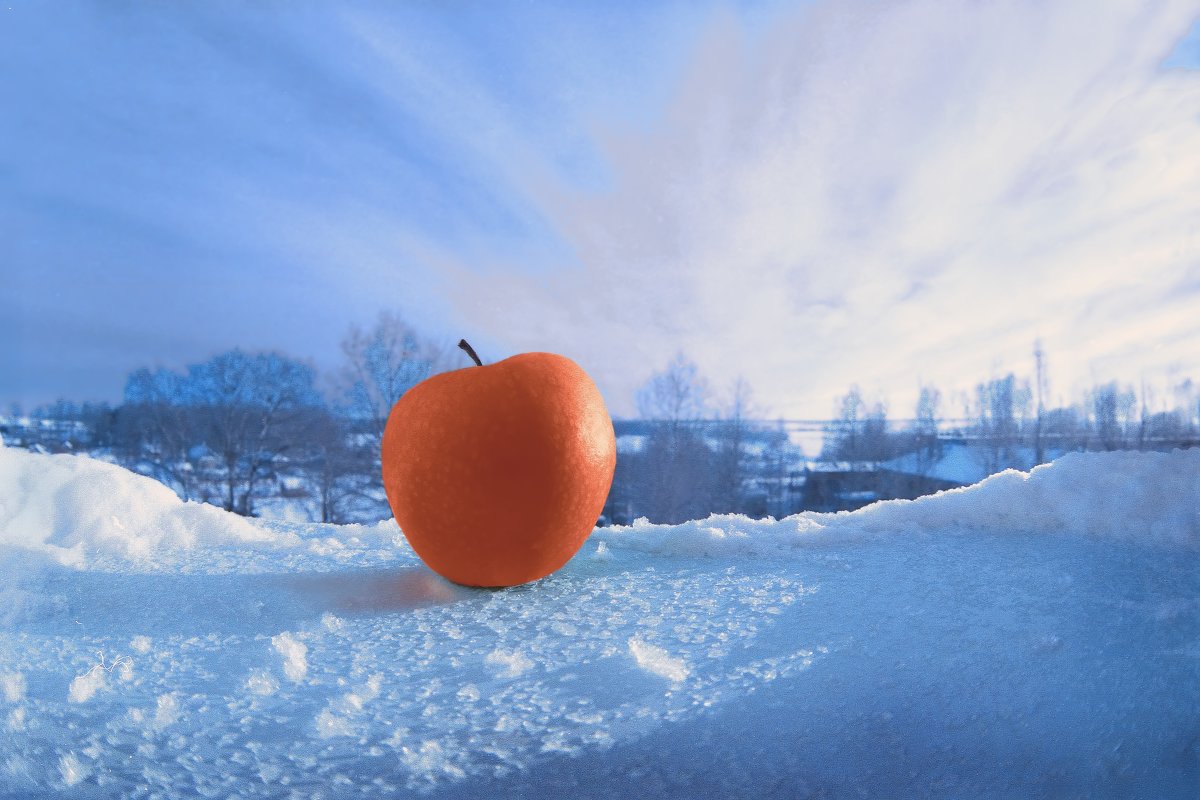 Яблоко на снегу - Валерий Талашов