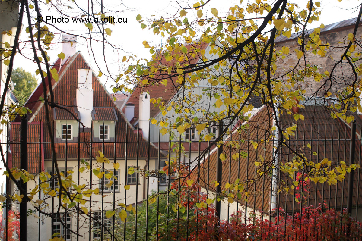 Fotostuudio Akolit, Tallinn - Аркадий  Баранов Arkadi Baranov