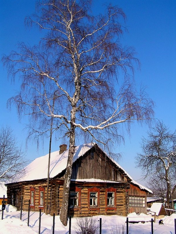 Домик в деревне - Светлана Калинина