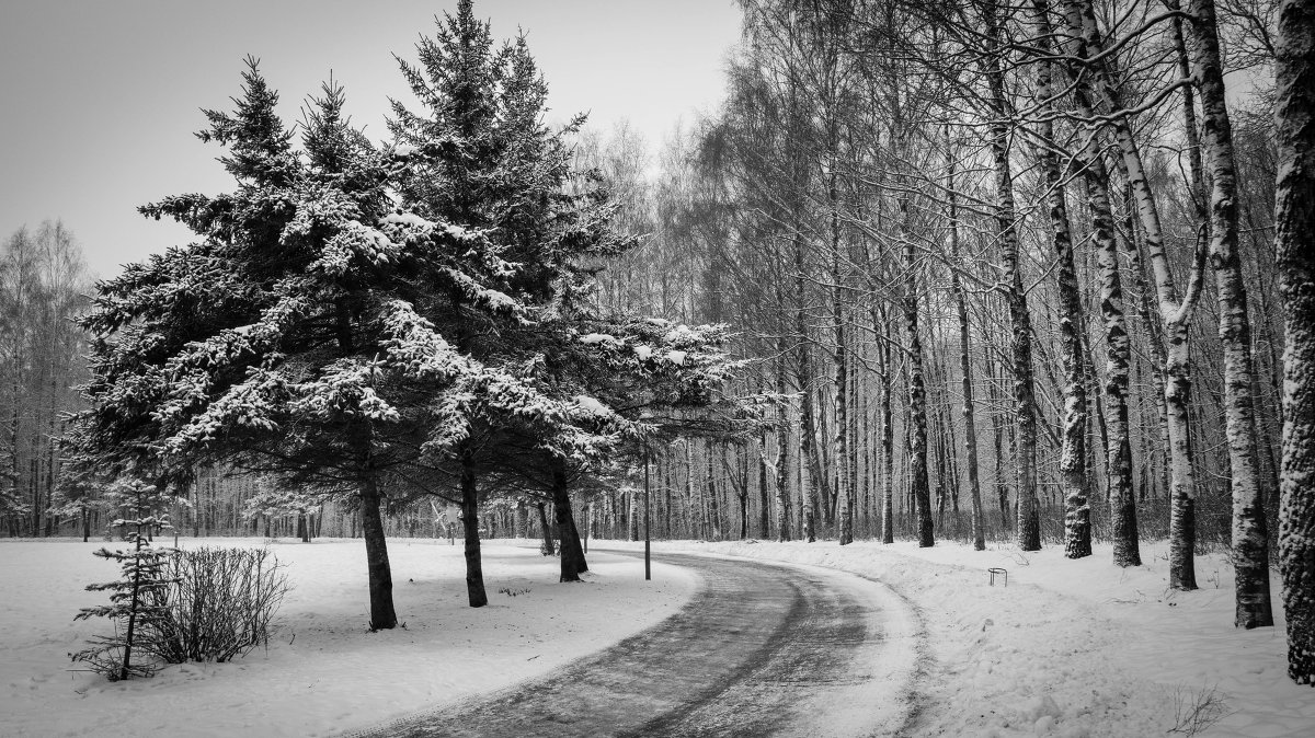 После снегопада - Олег Козлов