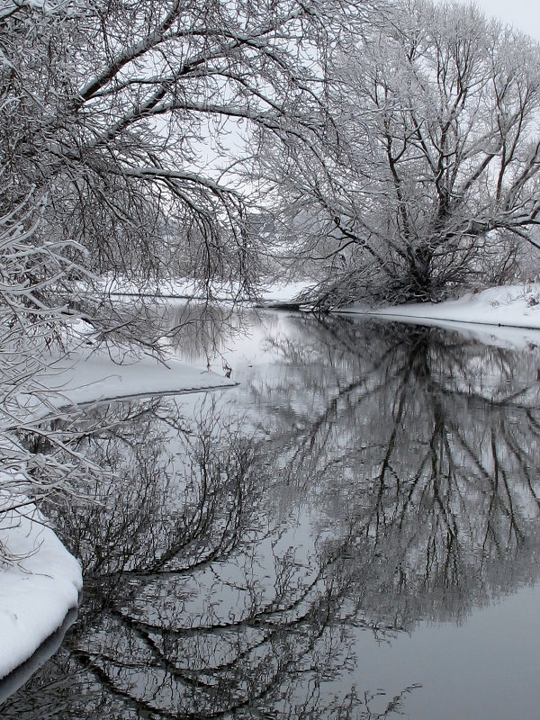 Отражение зимы - anna borisova 