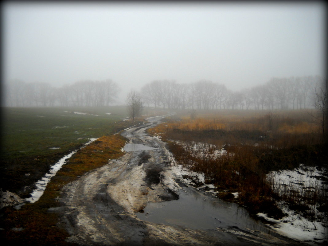 Туман....скоро весна..... - Svetlana Kravchenko