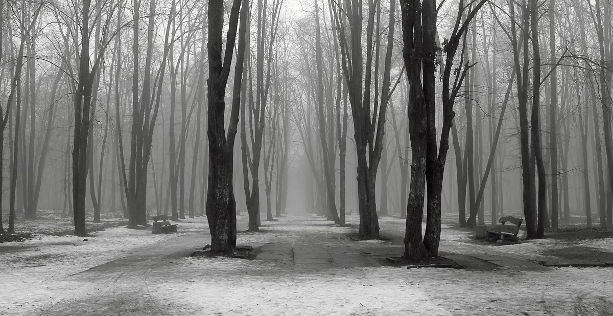 Туман на город бросил серую вуаль, - Volodymyr Shapoval VIS t