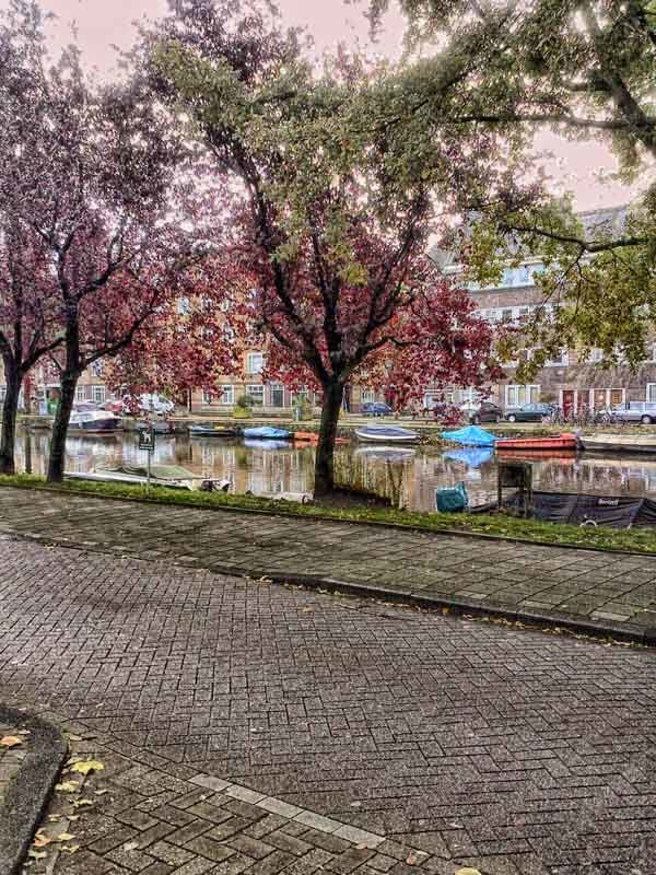 Fall in Amsterdam - Gene Brumer