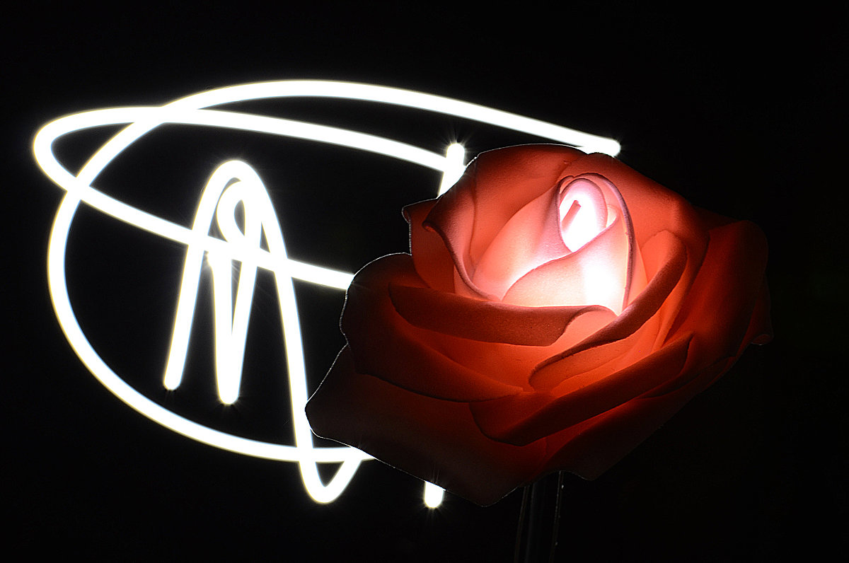 Светящиеся розы - Валери Ко