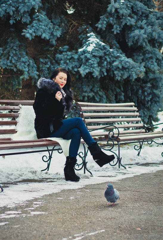 Важный голубь - Svetlana Shumilova